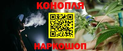 гидропоника Гусев